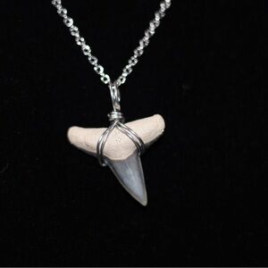 Silver Shark Tooth Necklace